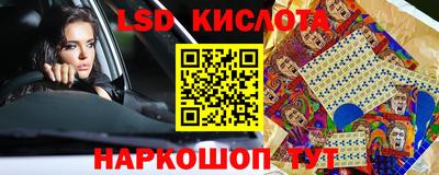 СК Краснодар
