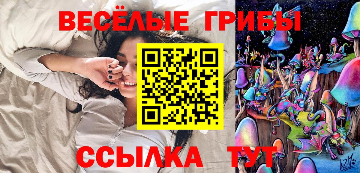 Псилоцибиновые грибы мицелий  Вход с VPN  Псилоцибиновые грибы GOLDEN TEACHER  Гусев 