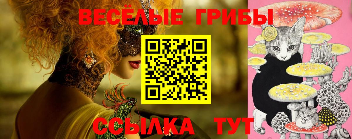 Псилоцибиновые грибы мицелий Гусев